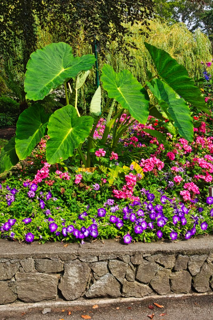 Old Bridge Area, Beacon Hill Park, Victoria