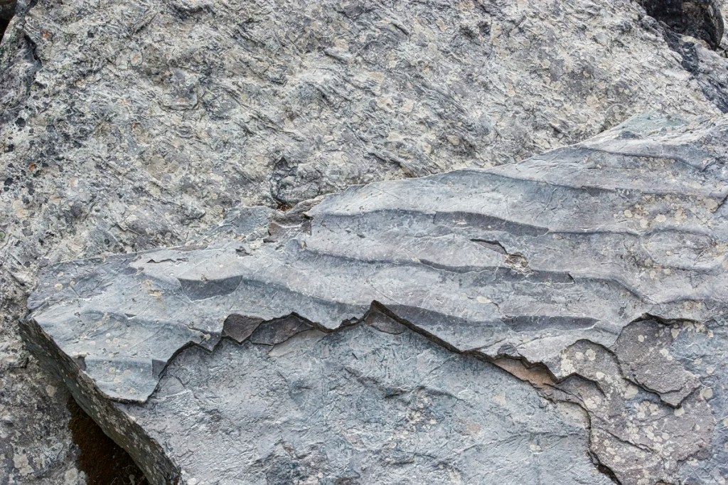 Fossil Beach Exhibit, Rock Pile Trail