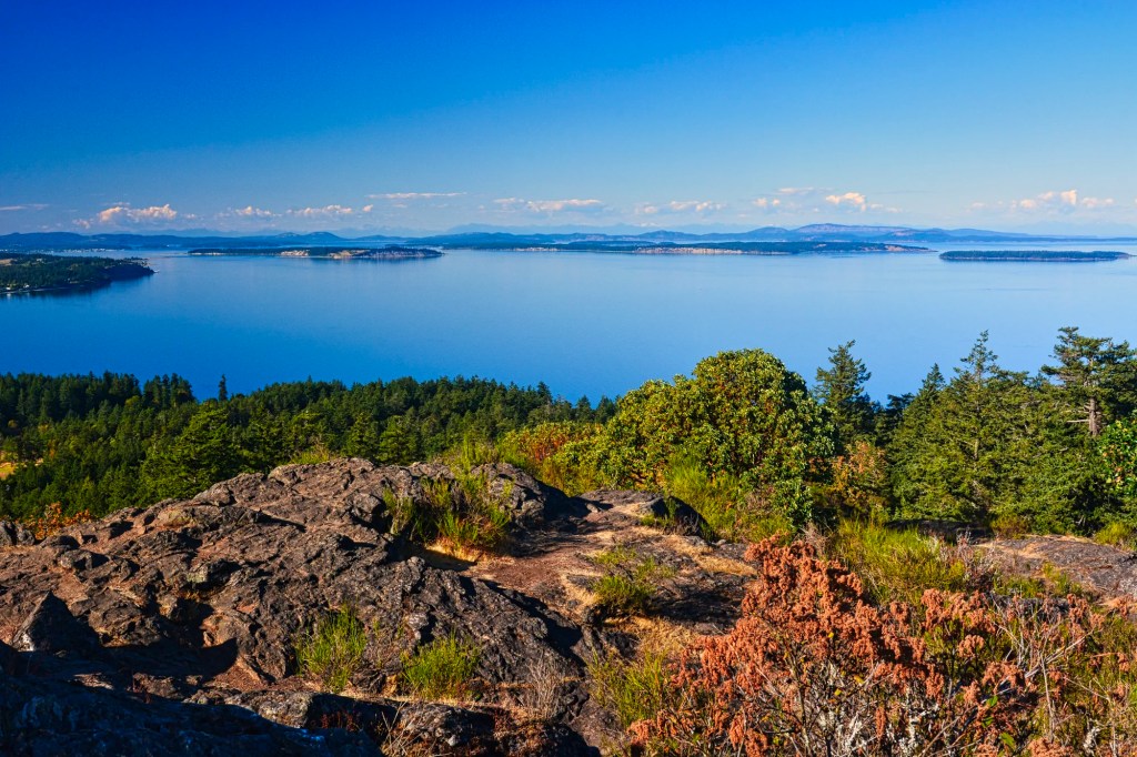 Mount Douglas View North