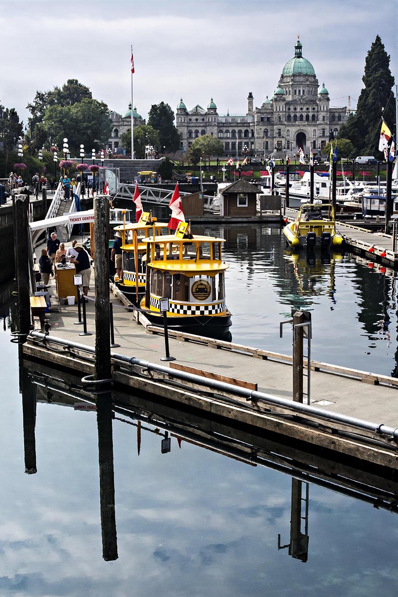 Bus Stop, Victoria Harbour