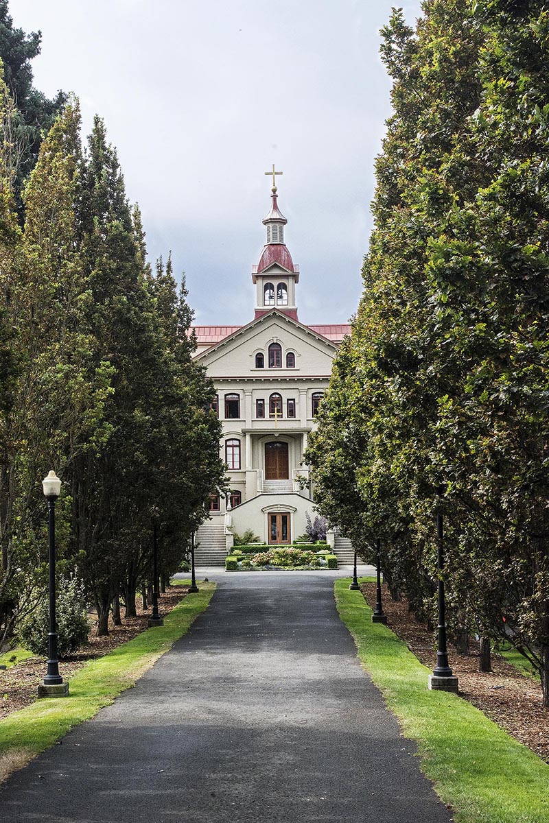 Tree-lined Entrance to St. Ann’s Academy (1871), Victoria