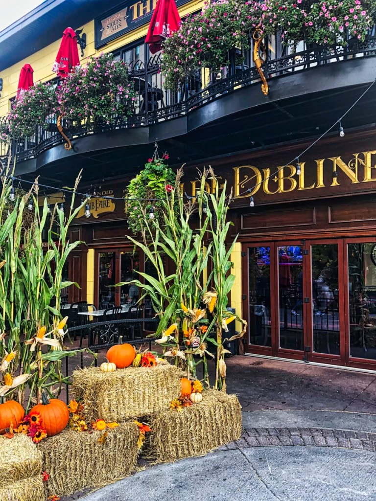 Dubliner Pub Halloween, Ottawa