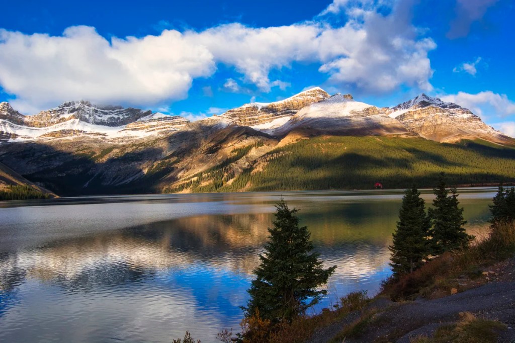 Bow Lake Looking Northwest
