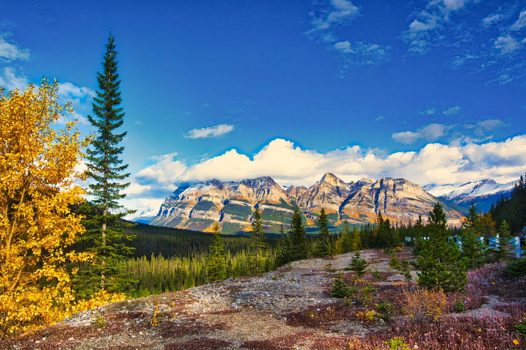 Mt Wilson, Icefield Parkway, Banff NP, AB