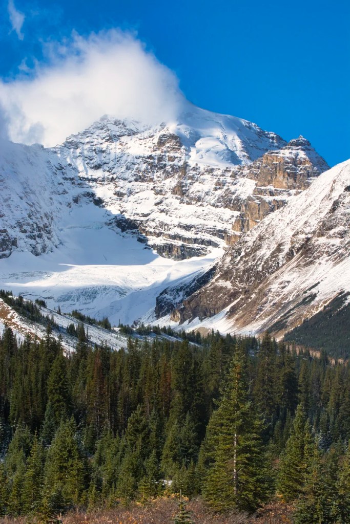 Parker’s Ridge on the lower left; Mt. Athabasca in the centre