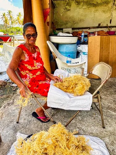 Woman combing the sea moss, Seaweed Farm, Vieux Fort, St Lucia