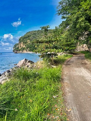 Path to Anse Mamin