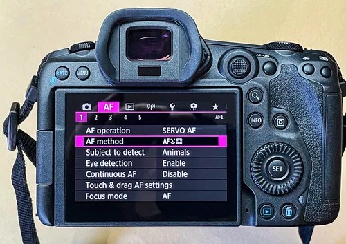 Canon EOS R5 LCD Touch Screen Canon EOS R5 back view & LCD panel