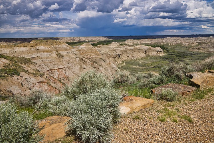 View from Badlands Rim, Dinosaur PP, Alberta