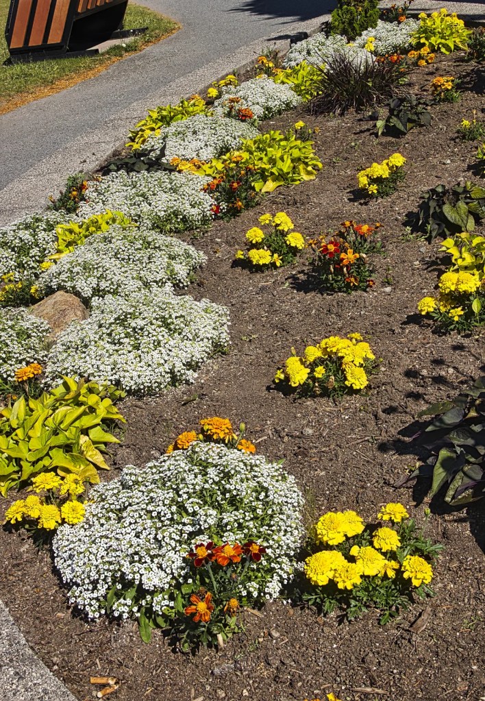 Esplanade Ave Garden, Harrison Lake, BC