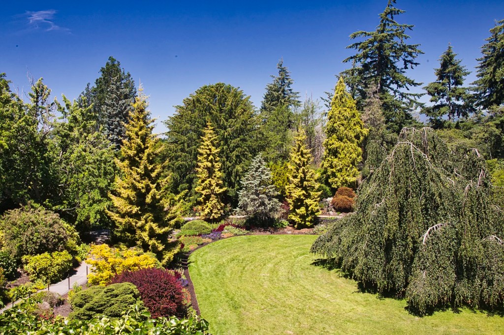 Arboretum, Queen Elizabeth Park, Vancouver, BC