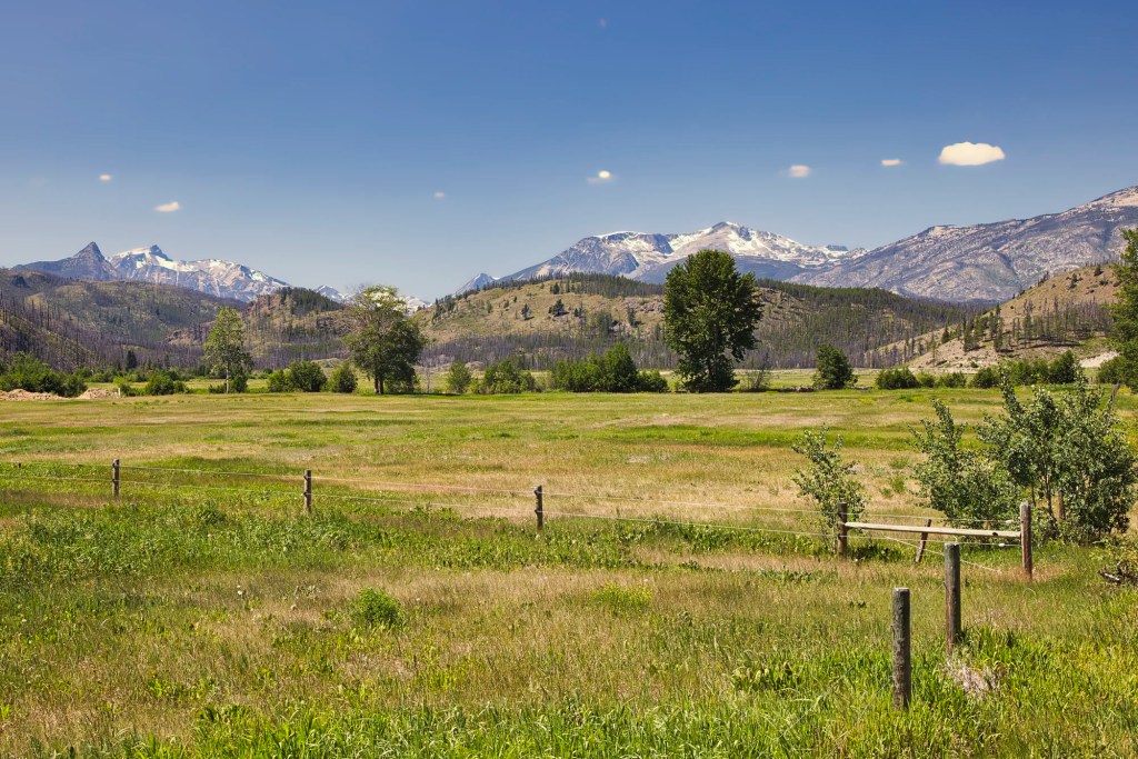 Cowboy Country, 52 mm View, Hwy 20, BC