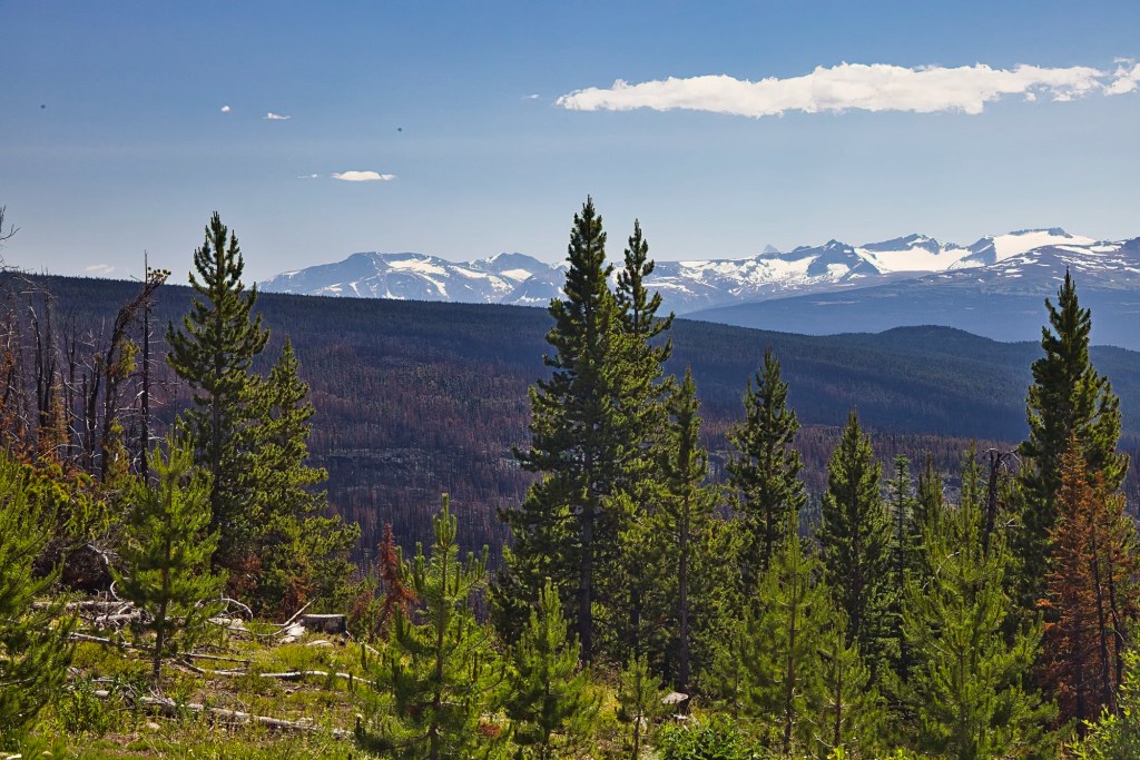 Heckman Summit Mountains, 100 mm View, Hwy 20, BC