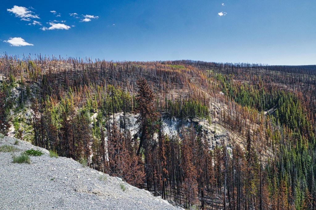 Heckman Pass Road, Hwy 20, BC