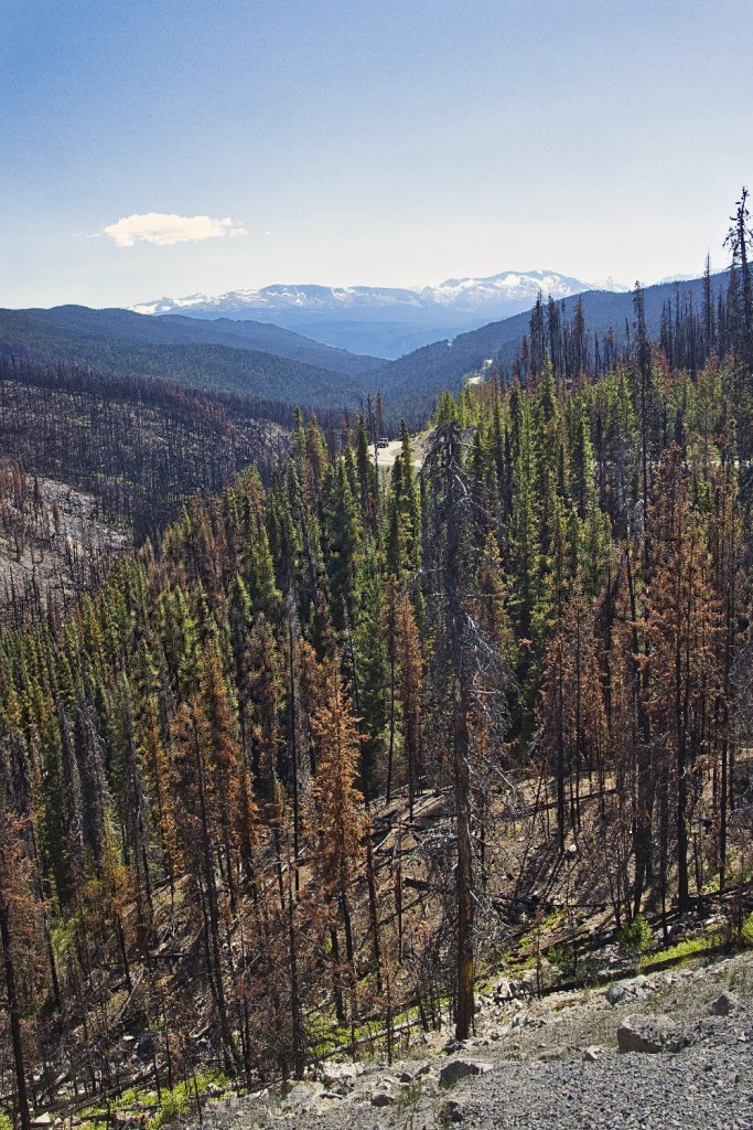 Heckman Pass Fire, Hwy 20, BC