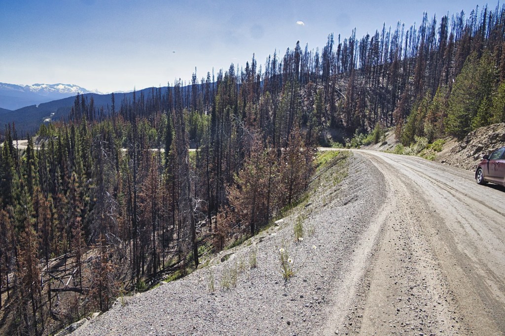 Heckman Pass Road, Hwy 20, BC