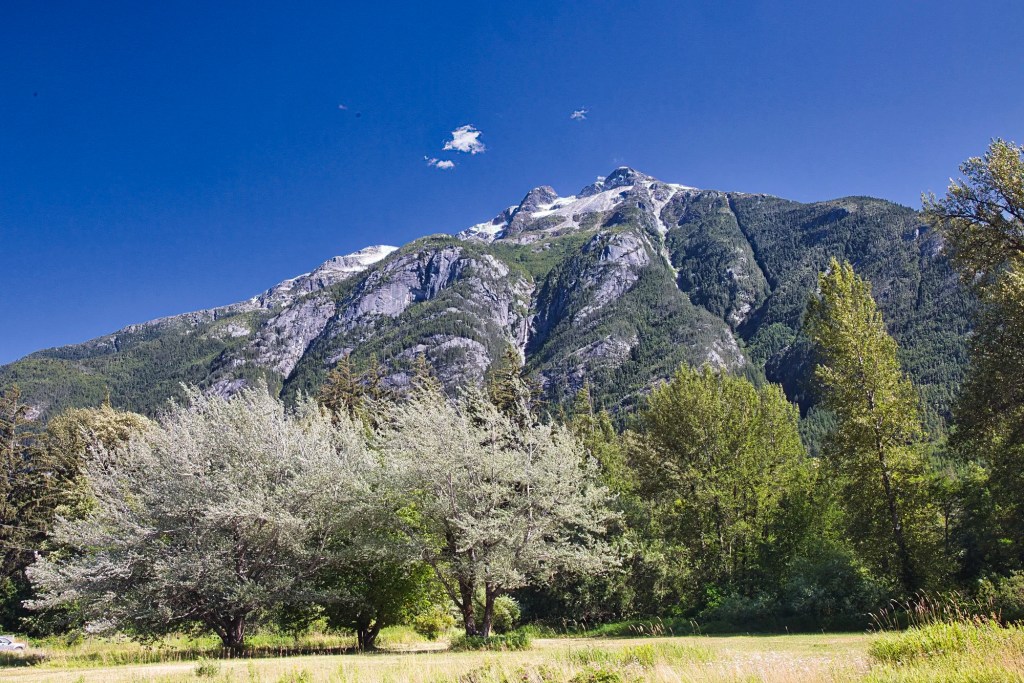 Hagensborg, 37 mm View, Hwy 20, Bella Coola, BC