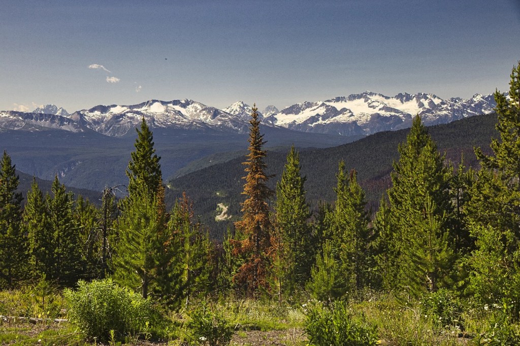 76 mm View, Hwy 20, BC