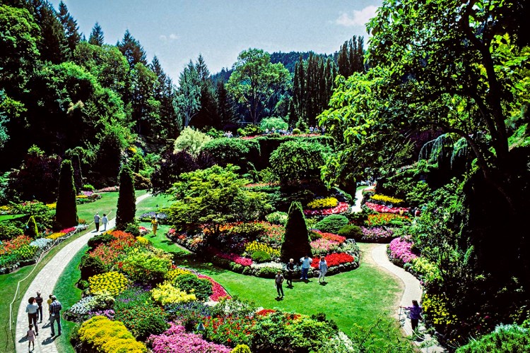 Butchart Gardens
