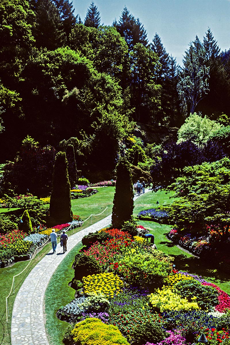 Butchart Sunken Gardens