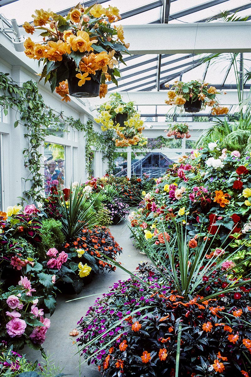 Butchart Gardens Greenhouse