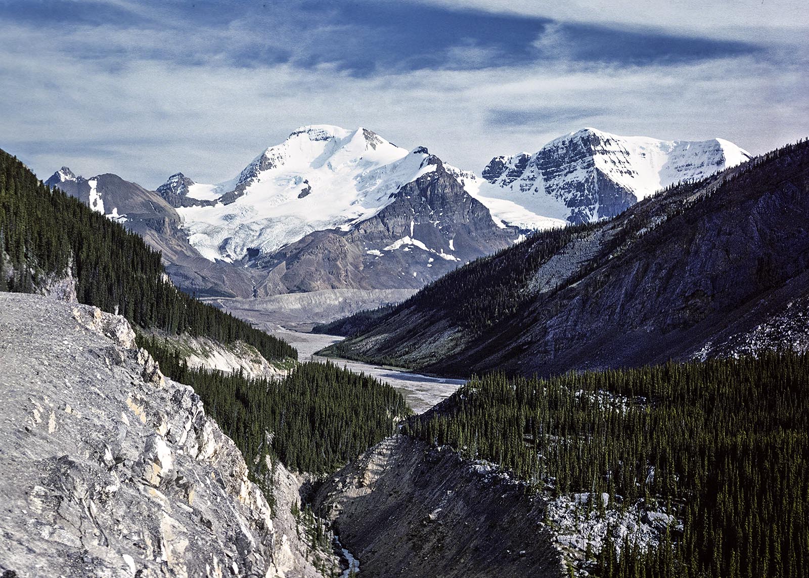 Mt Athabasca from Sunwapta Canyon
