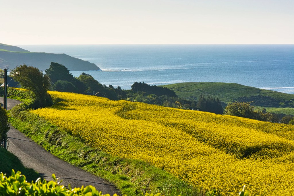 View from B&B, Ardkilly Ridge Road, Kinsale, Ireland