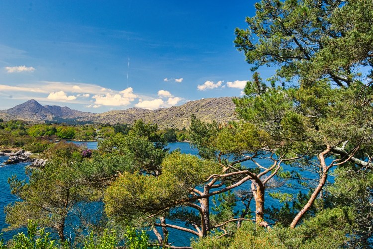 Garinish Island View, Ireland