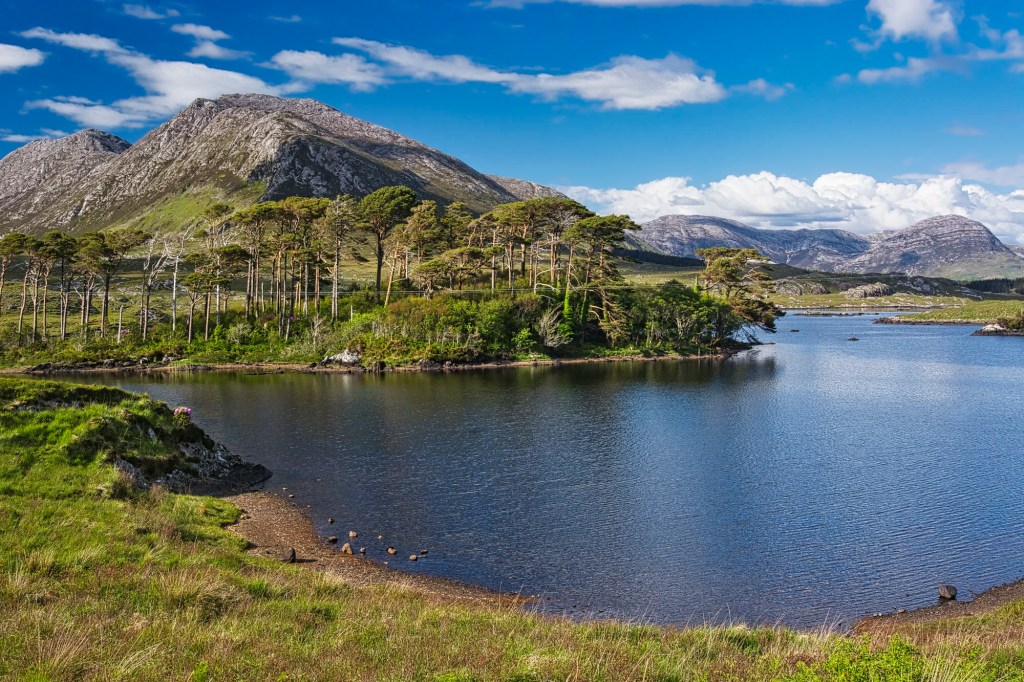 Pines Island Viewpoint, Highway N59, Ireland
