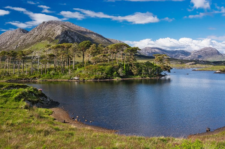 Pines Island Viewpoint, Highway N59, Ireland