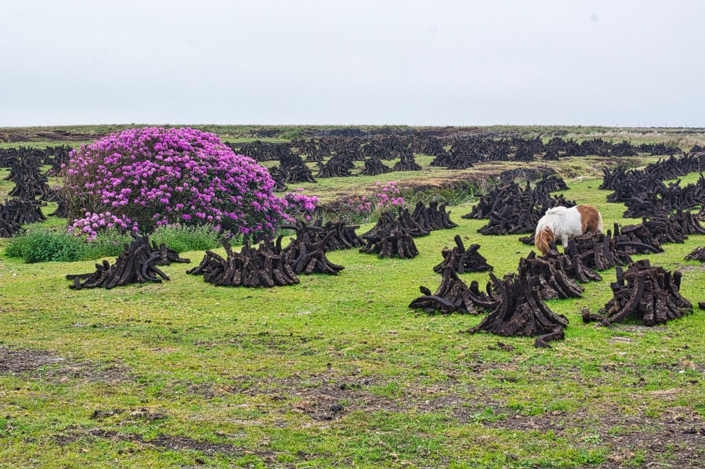 Peat Farm, Portacloy, Co. Mayo, Ireland