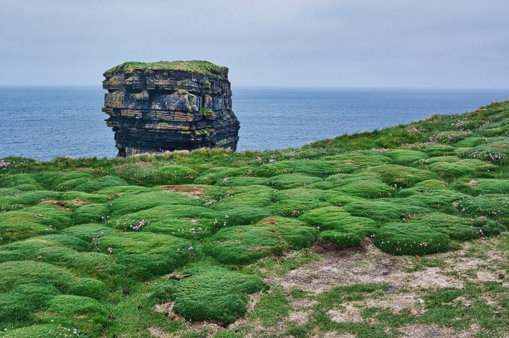 Lady's Cushions, Downpatrick Head, Co. Mayo, Ireland