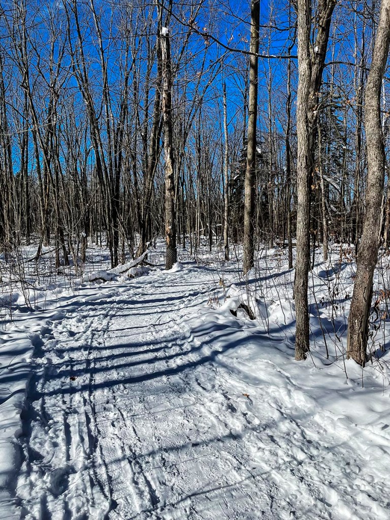 Beaver Trail in Winter, Ottawa
