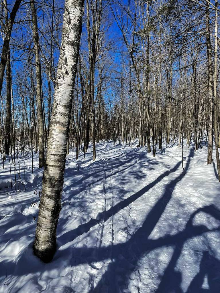 Beaver Trail in Winter, Ottawa
