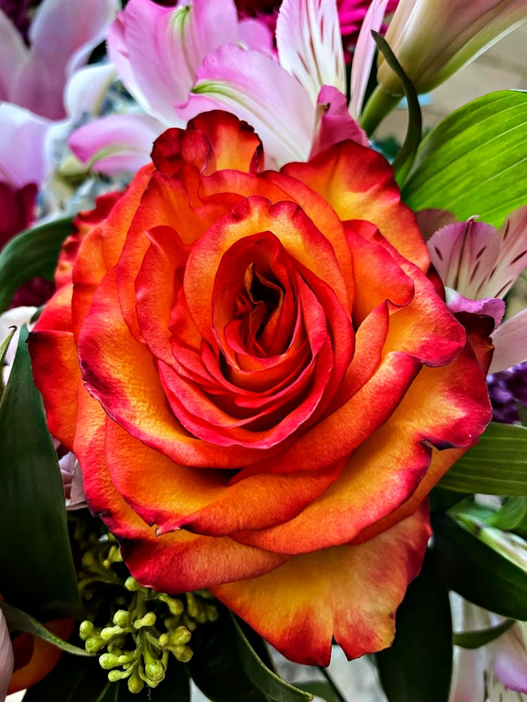 bouquet of gorgeous flowers