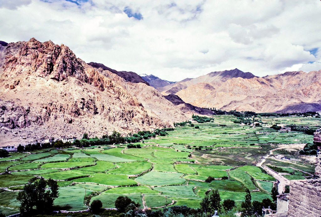 Desert Mountains Verdant Leh Valley, Ladakh, India Desert Mountains Verdant Leh Valley,
Ladakh, India