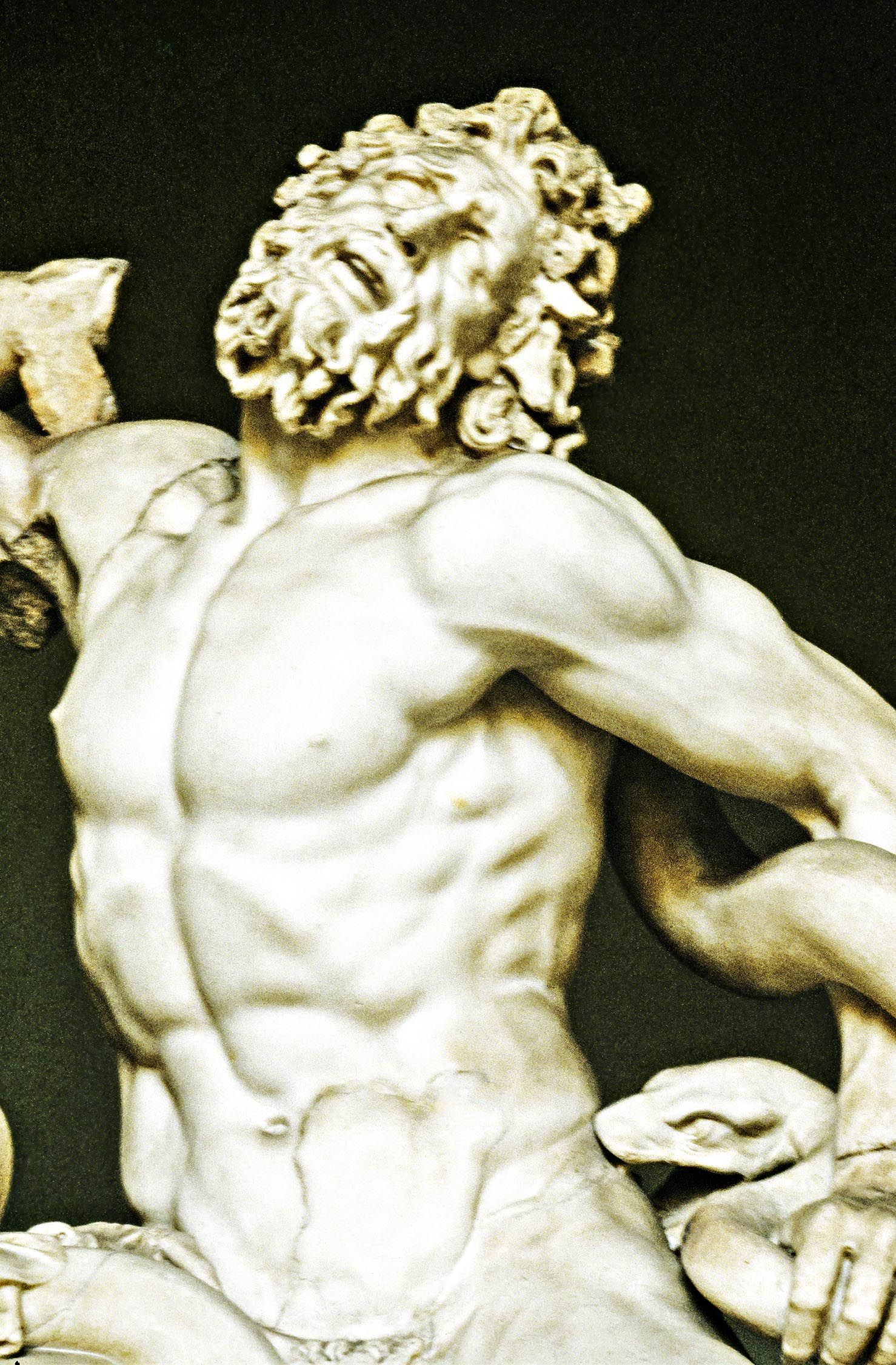 Laocoön Close-up, Vatican Museums