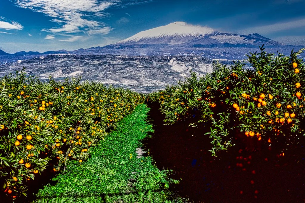 Oranges and Mt Etna View