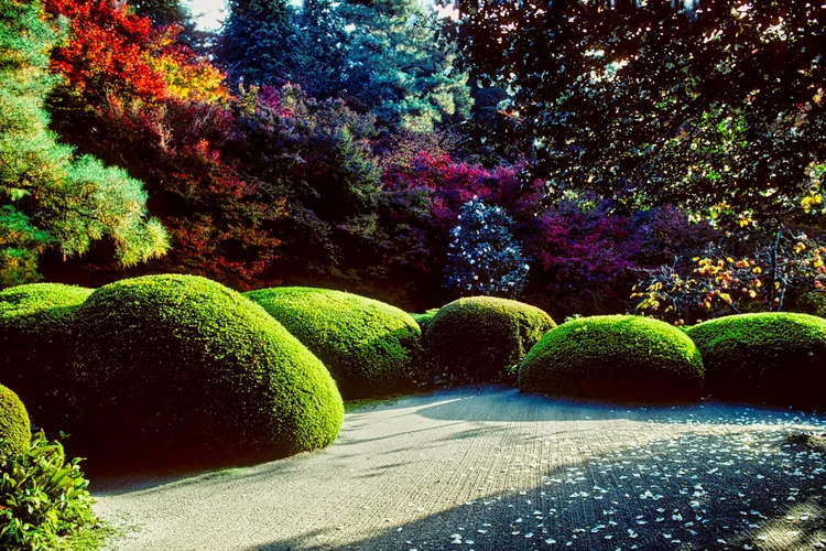 Karesansui, Shisendō, Kyoto, Japan