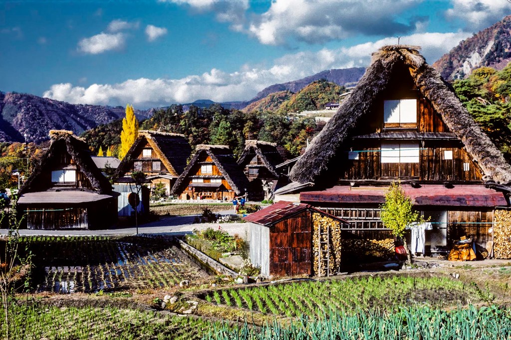 Gassho-zukuri houses, Shirakawago, Japan Gassho-zukuri houses, Shirakawago, Japan