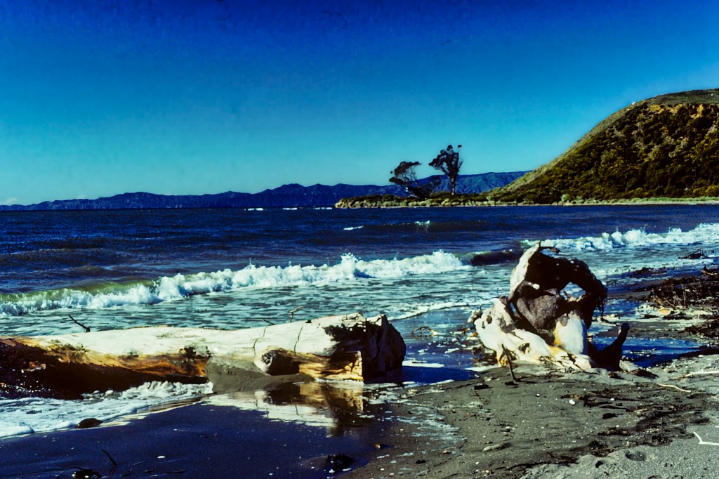 Parapara Beach, Parapara, NZ