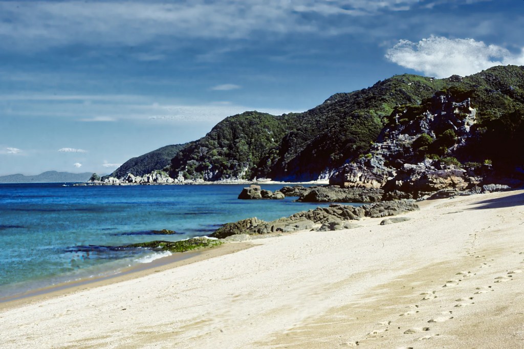 Totaranui Beach?, Abel Tasman Track, NZ