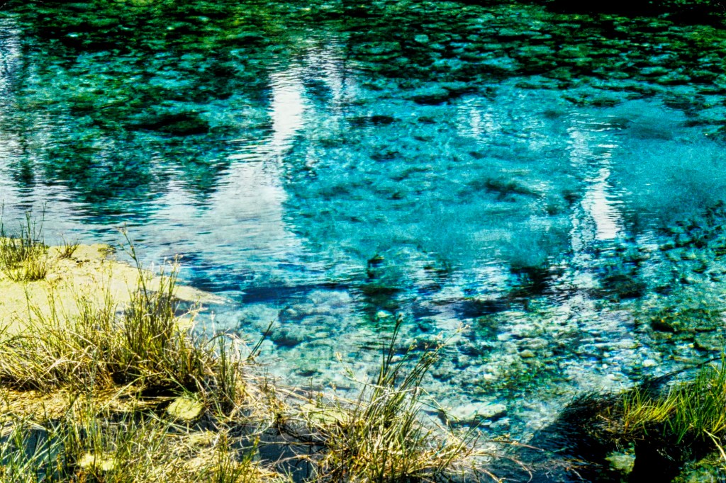 Pupu Springs, Takaka, NZ