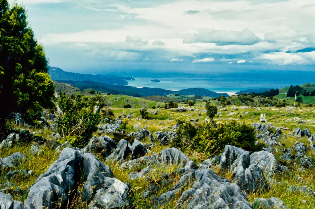 Ngarua Caves, Takaka Hill, NZ