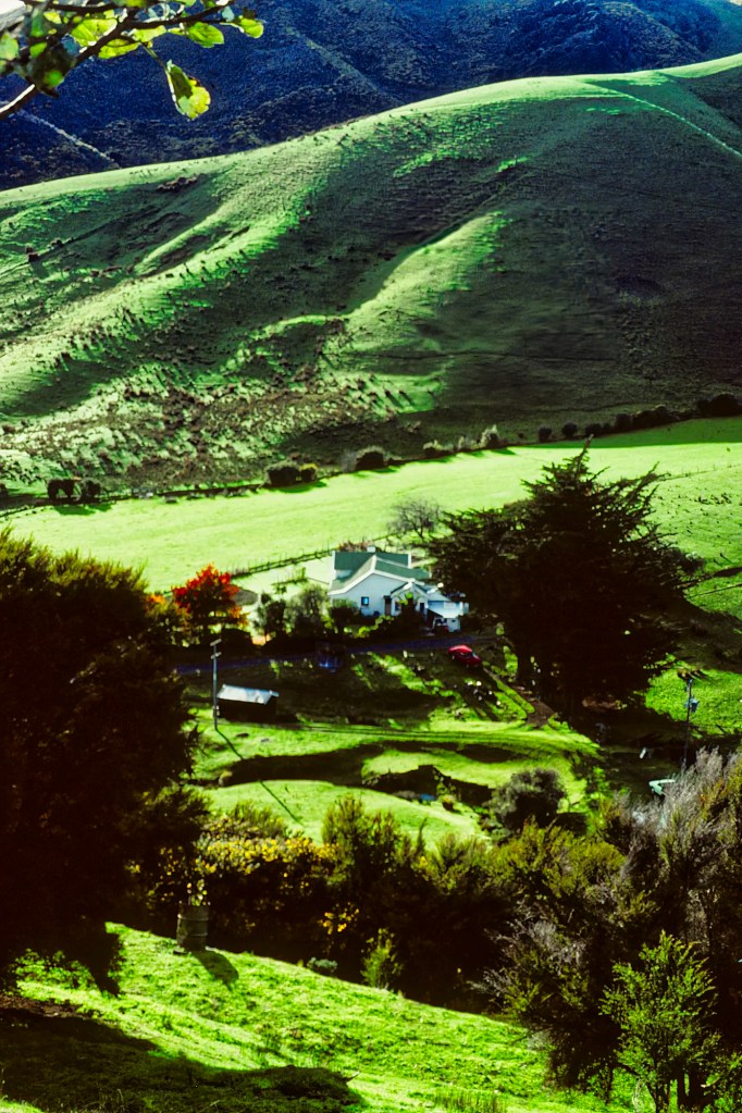 Hillside Farm, Todd Valley, Nelson, NZ
