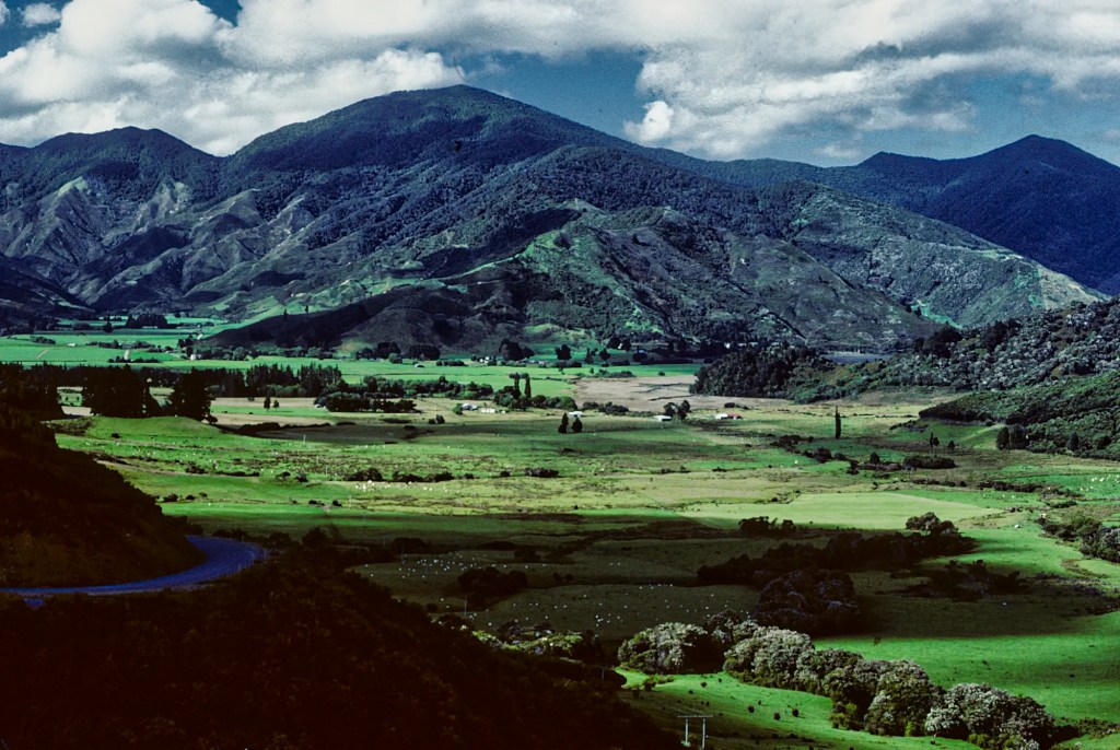 Farm Valley, Havelock, NZ