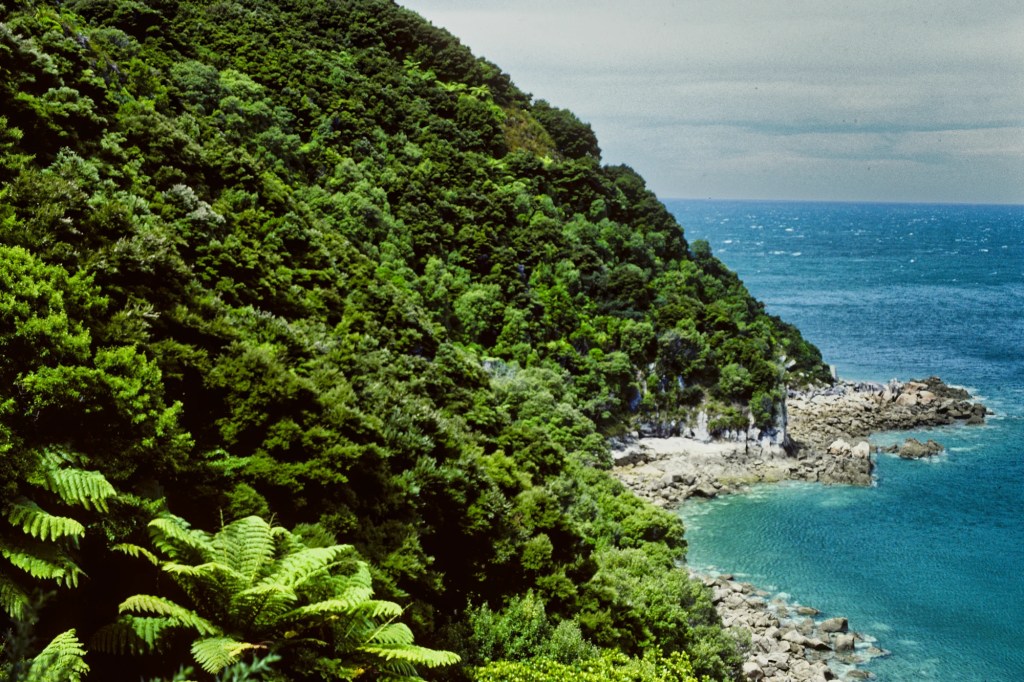Totaranui Beach?, Abel Tasman Track, NZ