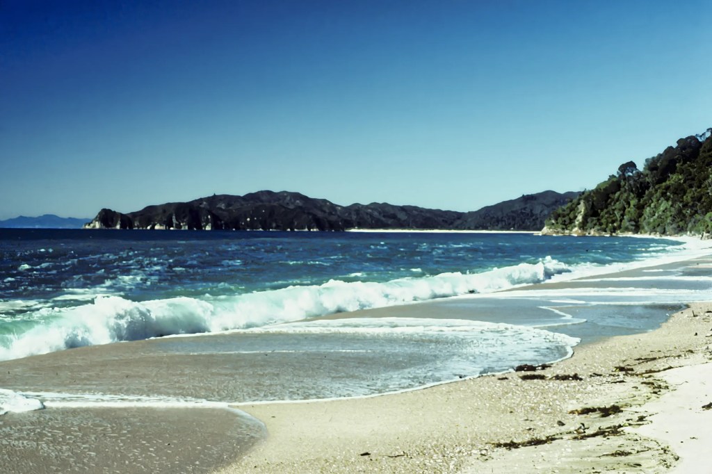 Goat Bay, Abel Tasman Track, NZ