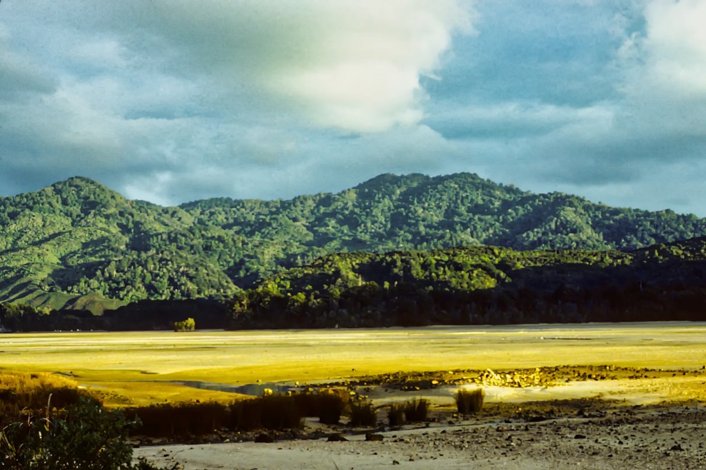 Awaroa Tidal Flats, Abel Tasman Track, NZ