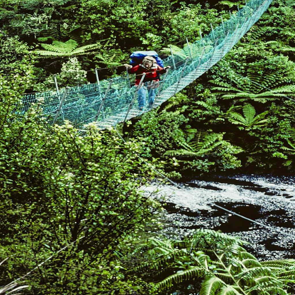 Corinne Crossing Falls River Susp Bridge, Abel Tasman Track, NZ